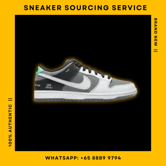 Nike SB Dunk Low Pro ISO VX1000 Camcorder